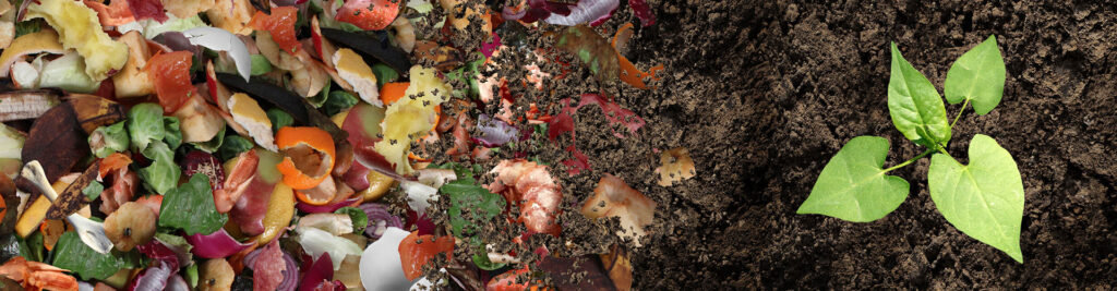 Organic Waste Composter: A Sustainable Solution for Food Scraps and Yard Waste